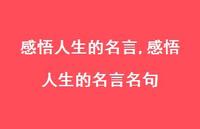 感悟人生的名言名句【100句文案精选】 感悟人生的名言名句【100句文案精选】