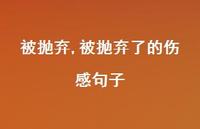 被抛弃了的伤感句子(100句)
