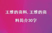 王维的资料简介30字【精品文案100句】