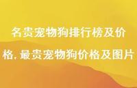 最贵宠物狗价格及图片【精选100句】 最贵宠物狗价格及图片【精选100句】