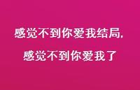 感觉不到你爱我了(100句) 感觉不到你爱我了(100句)
