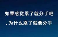 为什么累了就要分手(100句)