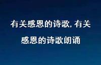 有关感恩的诗歌朗诵【精品文案100句】