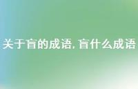 盲什么成语【精选100句】