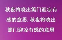 秋夜将晓出篱门迎凉有感的意思【100句文案精选】