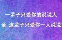 这辈子只爱你一人说说(100句)