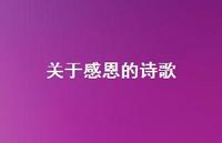 关于感恩的诗歌72句汇总