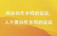 人不要自作多情的说说(100句)