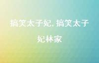 搞笑太子妃林家【精选100句】