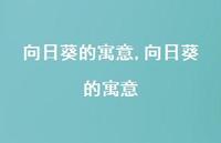 向日葵的寓意【100句文案】