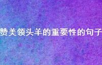 赞美带领者的重要性的句子【100句精选短句合集】
