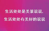 生活处处有美好的说说(100句) 生活处处有美好的说说(100句)