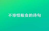 不珍惜粮食的诗句(精选67句)