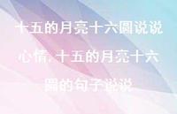 十五的月亮十六圆的句子说说(100句) 十五的月亮十六圆的句子说说(100句)