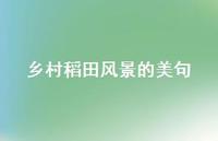 乡村稻田风景的美句(精选38句) 乡村稻田风景的美句(精选38句)