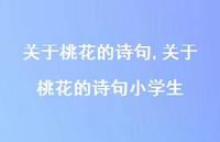 关于桃花的诗句小学生【100句文案精选】