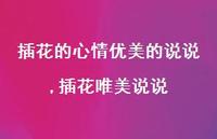 插花唯美说说(100句)