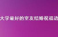 大学较好的室友结婚祝福语合集50句精选 大学较好的室友结婚祝福语合集50句精选