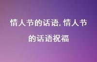 情人节的话语祝福【100句文案精选】