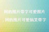 困的图片可爱搞笑带字【100句文案】 困的图片可爱搞笑带字【100句文案】