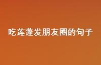 吃莲蓬发朋友圈的句子(精选51句)