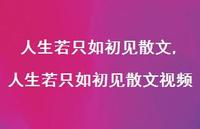 人生若只如初见散文视频【100句文案精选】