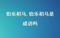 伯乐相马是成语吗【100句文案精选】