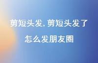 剪短头发了怎么发朋友圈(100句)