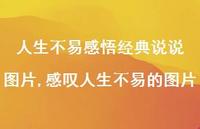 感叹人生不易的图片【100句文案】 感叹人生不易的图片【100句文案】