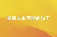 祝愿未来可期的句子41句汇总 祝愿未来可期的句子41句汇总
