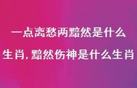 黯然伤神是什么生肖【100句文案】
