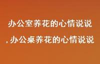 办公桌养花的心情说说(100句) 办公桌养花的心情说说(100句)