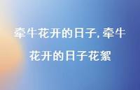 牵牛花开的日子花絮【精品文案100句】