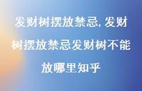 发财树摆放禁忌发财树不能放哪里知乎(100句) 发财树摆放禁忌发财树不能放哪里知乎(100句)