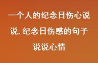 纪念日伤感的句子说说心情(100句)