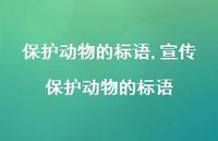 宣传保护动物的标语【精品文案100句】 宣传保护动物的标语【精品文案100句】
