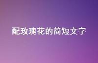 配玫瑰花的简短文字【100句精选短句合集】 配玫瑰花的简短文字【100句精选短句合集】