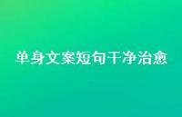单身文案短句干净治好【100句精选短句合集】 单身文案短句干净治好【100句精选短句合集】