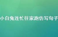 小白兔连忙往家跑仿写句子【100句精选短句合集】