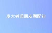 发大树照朋友圈配句【100句精选短句合集】