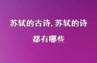 苏轼的诗都有哪些【精品文案100句】