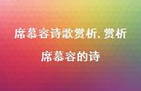 赏析席慕容的诗【精品文案100句】