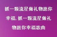 抓一颗流星做礼物愿你幸福歌曲(100句)