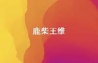 鹿柴王维64句汇总