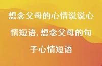 想念父母的句子心情短语(100句) 想念父母的句子心情短语(100句)