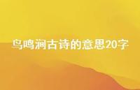 鸟鸣涧古诗的意思20字(精选67句) 鸟鸣涧古诗的意思20字(精选67句)