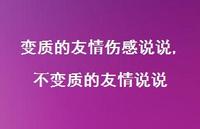 不变质的友情说说(100句) 不变质的友情说说(100句)