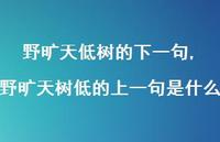 野旷天树低的上一句是什么【100句文案精选】 野旷天树低的上一句是什么【100句文案精选】