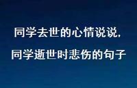 同学逝世时悲伤的句子(100句)