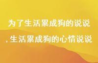 生活累成狗的心情说说【100句文案】 生活累成狗的心情说说【100句文案】